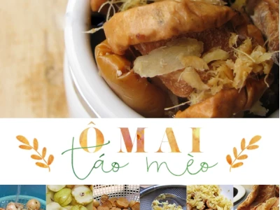 Ô Mai Táo Mèo: Hương Vị Đặc Sản, Cách Làm Và Địa Chỉ Mua Uy Tín