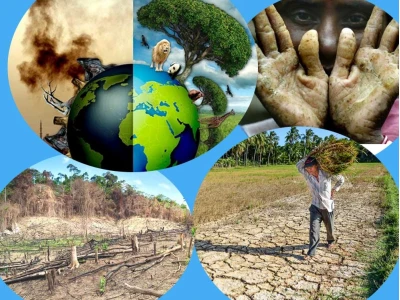 Ô nhiễm môi trường có tác hại gì đối với sức khỏe và cuộc sống?