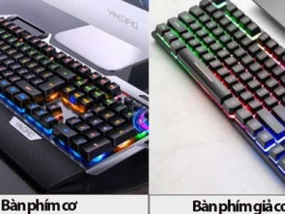 Phân biệt bàn phím cơ và giả cơ: Hướng dẫn chi tiết 2026