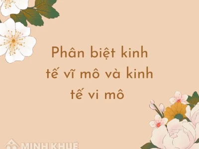Phân biệt kinh tế học vi mô và vĩ mô: Chìa khóa hiểu rõ nền kinh tế