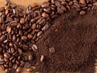 Phân tích chi tiết tác hại của bã cà phê và cách xử lý hiệu quả