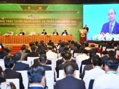 Phân tích toàn diện tác hại của chuối tiêu đối với sức khỏe