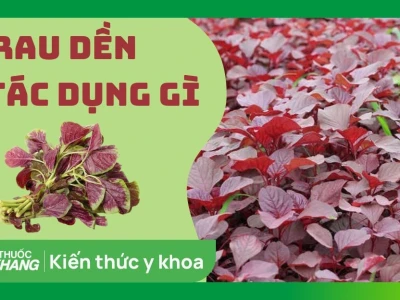 Rau dền và những tác hại tiềm ẩn: Ai không nên ăn và lý do