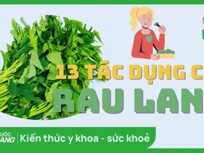 Rau lang: Lợi ích và những tác hại cần biết