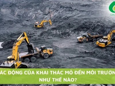 Tác hại của dầu mỏ đối với môi trường và sinh vật