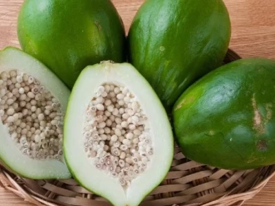 Tác hại của đu đủ xanh: Những điều cần biết để ăn uống an toàn
