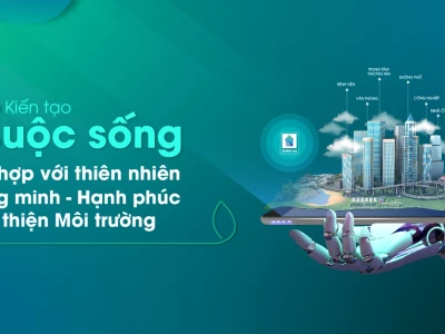 Tác hại của ô nhiễm ánh sáng tới sức khỏe và môi trường