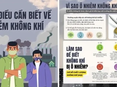 Tác hại của ô nhiễm không khí đối với môi trường sống và con người