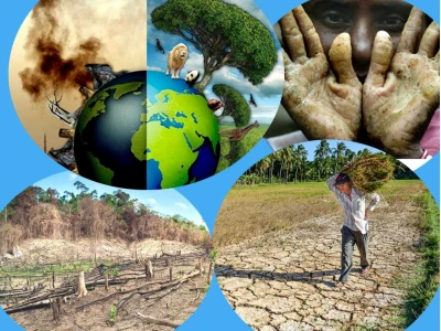 Tác hại của ô nhiễm môi trường đất và giải pháp giảm thiểu