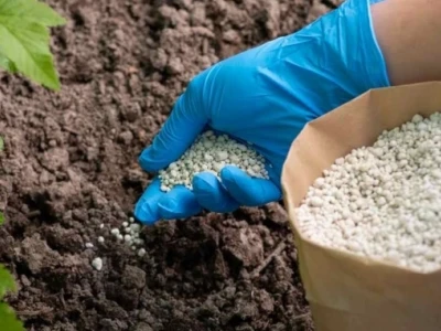 Tác hại của phân bón hóa học: Ảnh hưởng khôn lường đến sức khỏe và môi trường