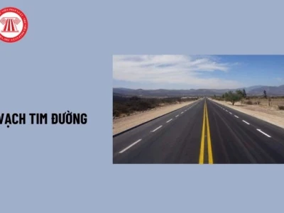 Vạch tim đường là gì? Ý nghĩa và quy định chi tiết năm 2026